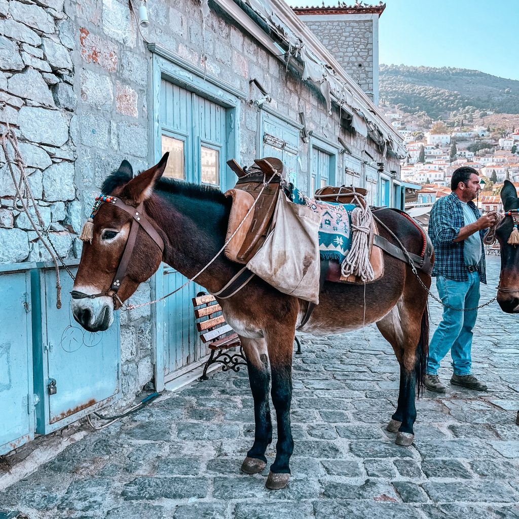 Isola di Hydra: sull’isola ci si muove a piedi o con i muli 