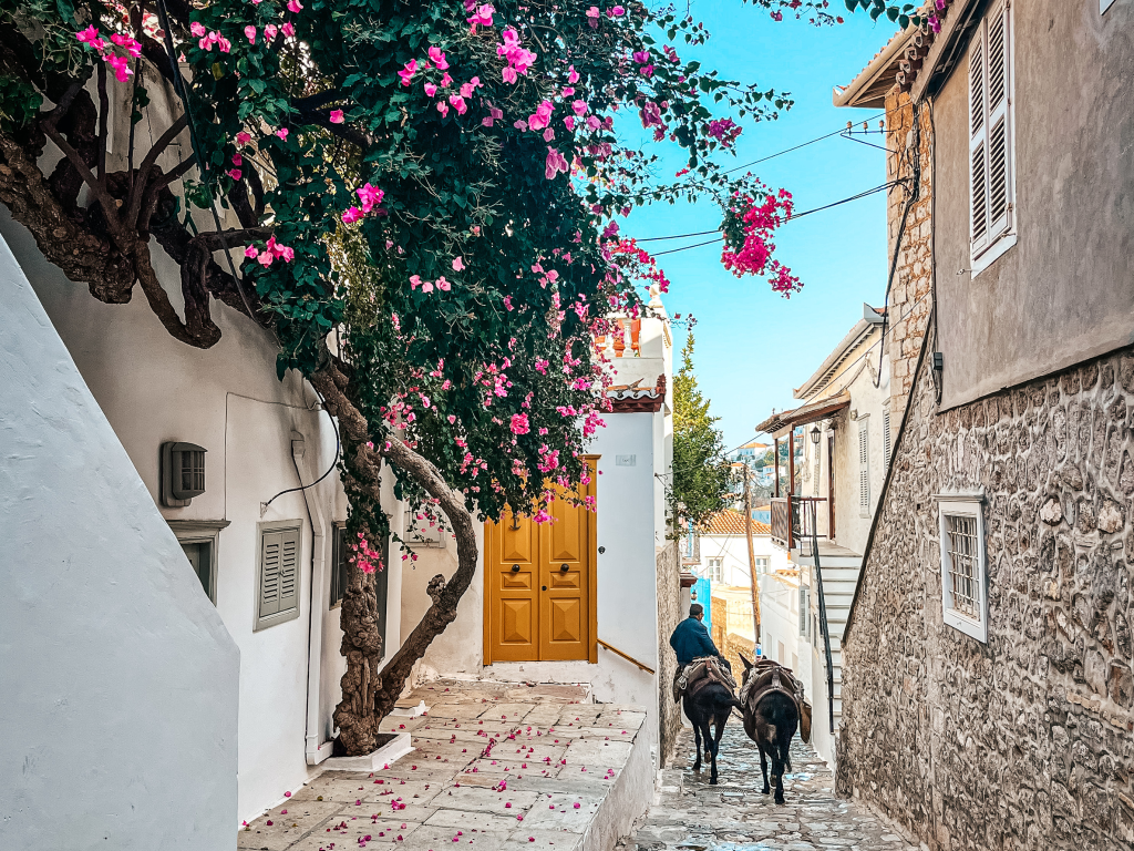 Scena autentica di Hydra, asini che percorrono un vicolo acciottolato della chora