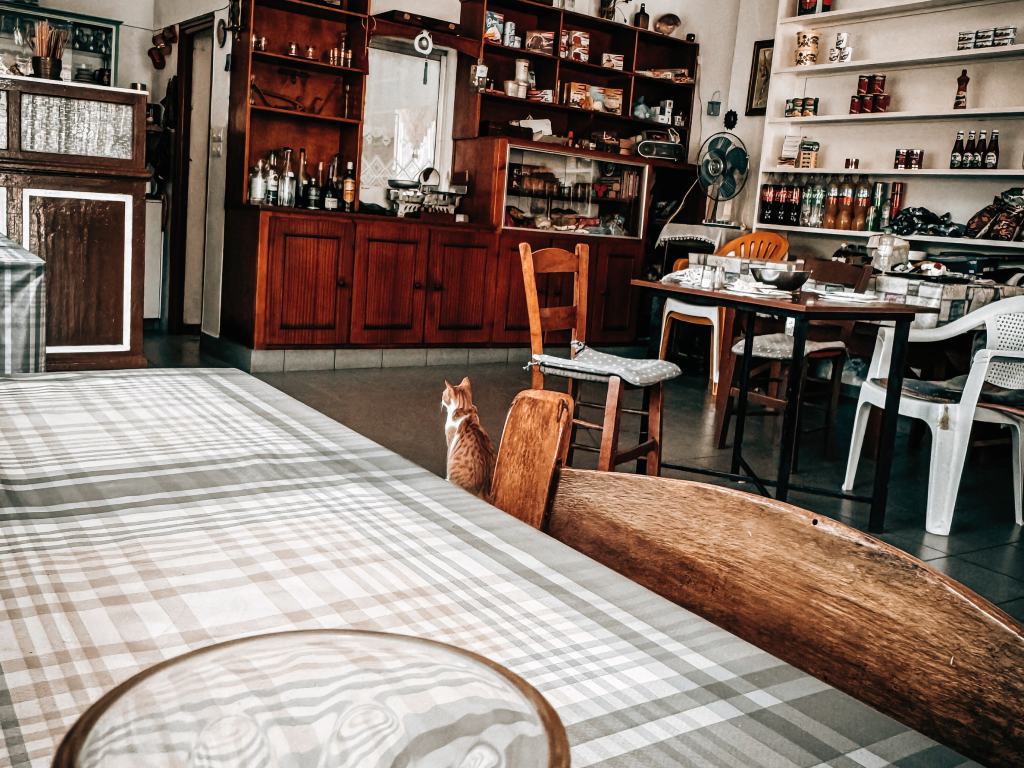 Sosta gastronomica in un caratteristico pantopoleio di Antiàs