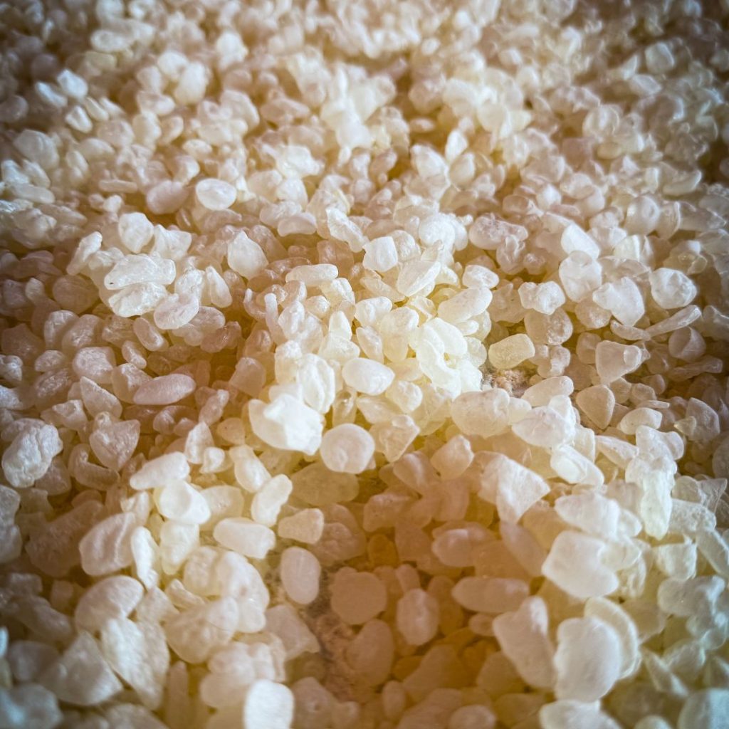 "Lacrime di masticha" resina che si produce dal lentisco, chios