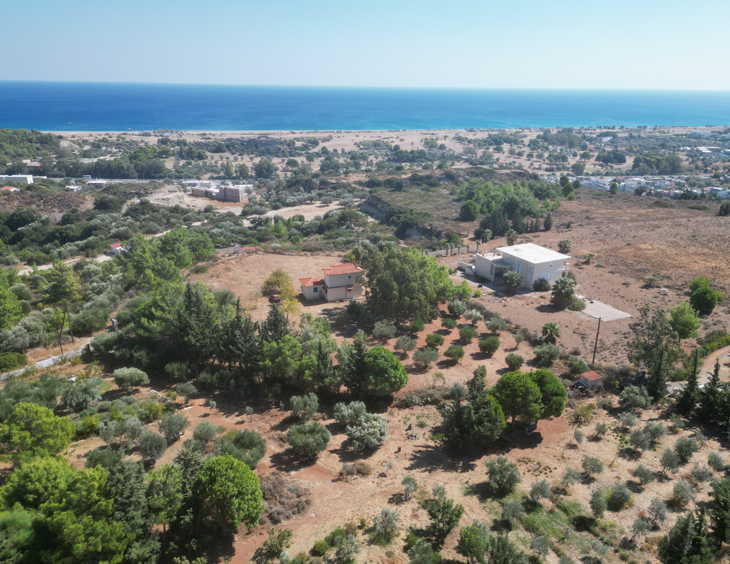 olive tree farm , cosa fare a rodi, immagine dall'alto della farm